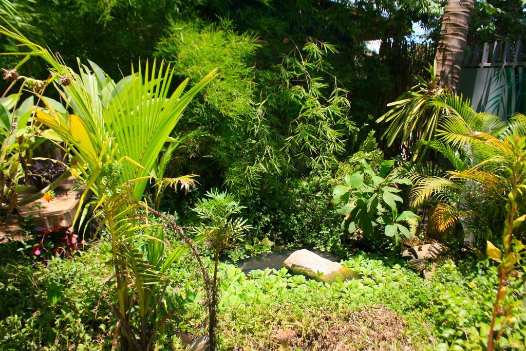 Firefly Guesthouse - The Berlin Angkor Сиемрип Экстерьер фото