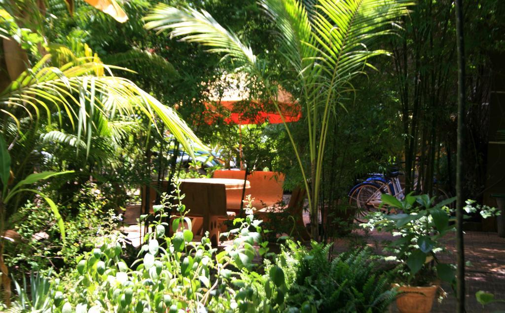 Firefly Guesthouse - The Berlin Angkor Сиемрип Экстерьер фото