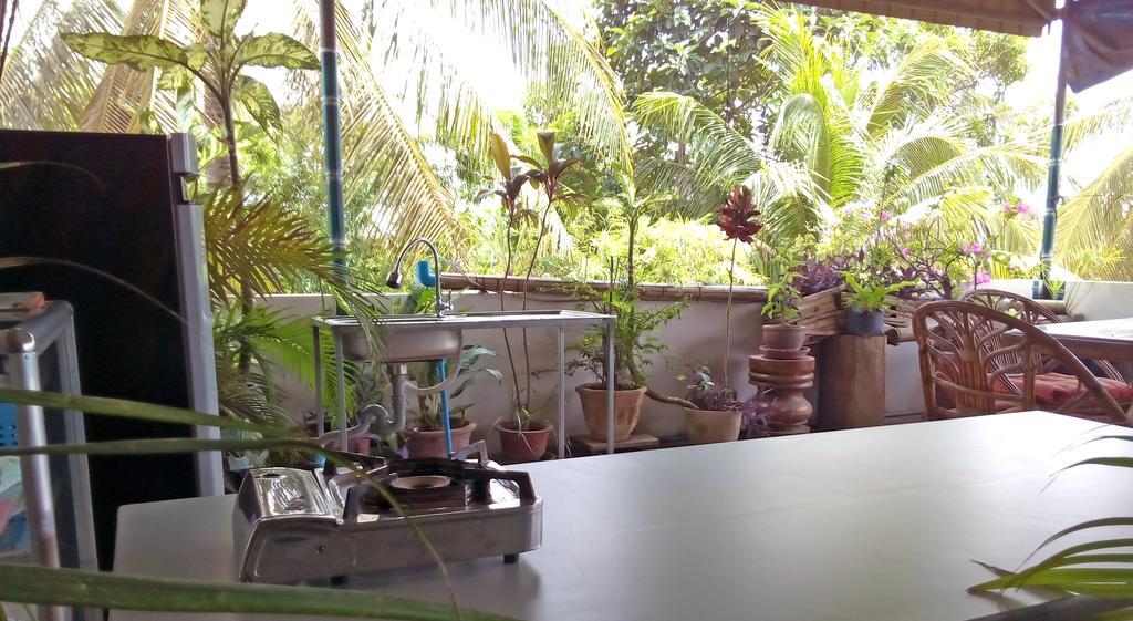 Firefly Guesthouse - The Berlin Angkor Сиемрип Экстерьер фото