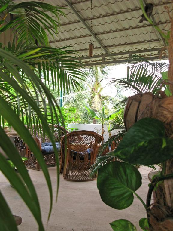 Firefly Guesthouse - The Berlin Angkor Сиемрип Экстерьер фото